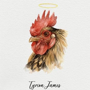 Amy ha añadido una foto de su compra