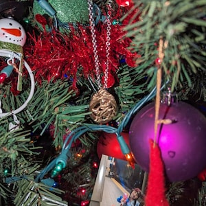 Josh added a photo of their purchase