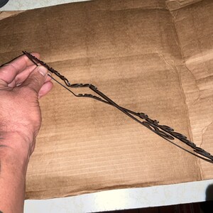 Warren added a photo of their purchase