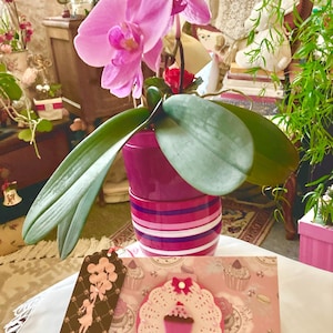 Nicole a ajouté une photo de son achat