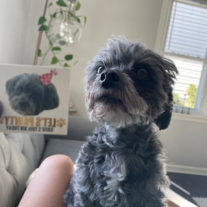 Glori heeft een foto van de aankoop toegevoegd