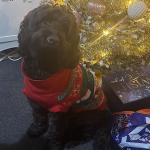 geoffrey a ajouté une photo de son achat
