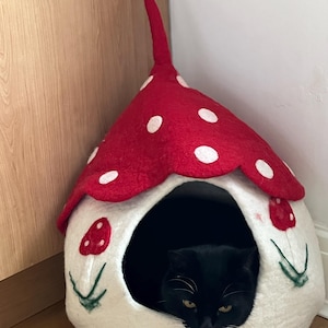 Susan added a photo of their purchase