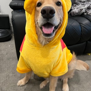 Baja Dog Poncho SIZE 3-mexican Dog Hoodie-mexican Poncho dog - Etsy