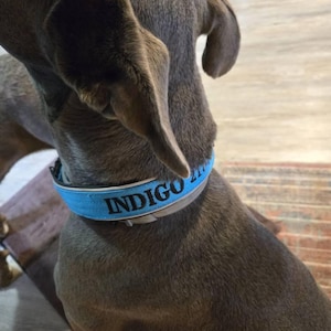 Sara heeft een foto van zijn/haar aankoop toegevoegd