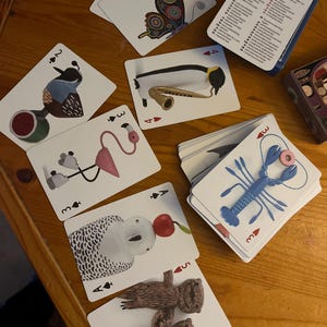 Playing Card Deck With Animals--play Any Card Game, Fortune ...