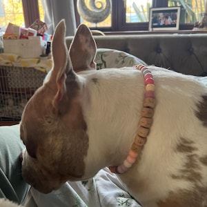 Rowena added a photo of their purchase