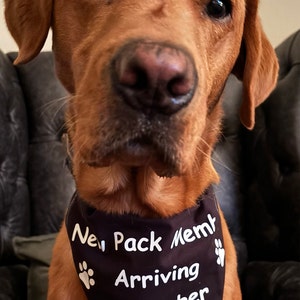 Karen added a photo of their purchase