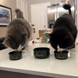 Robert added a photo of their purchase