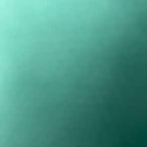 Nadiyah added a photo of their purchase