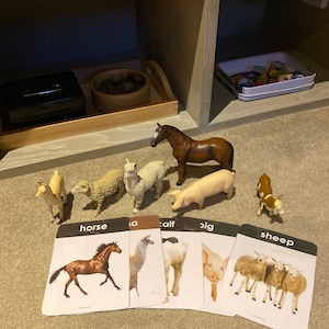 Dina added a photo of their purchase