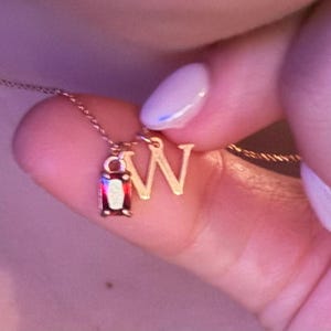 Laura added a photo of their purchase