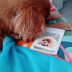Loulabelle added a photo of their purchase