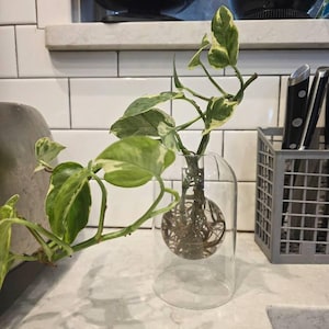 Ashley added a photo of their purchase