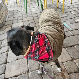 Lauren ha añadido una foto de su compra