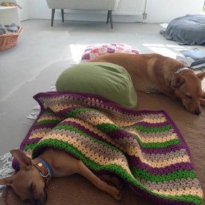 Simone heeft een foto van zijn/haar aankoop toegevoegd