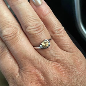 Kelly added a photo of their purchase