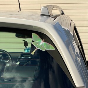 ONE Large Monarch Butterfly Migration Stickers Wall Art | Etsy