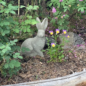 Sandra added a photo of their purchase
