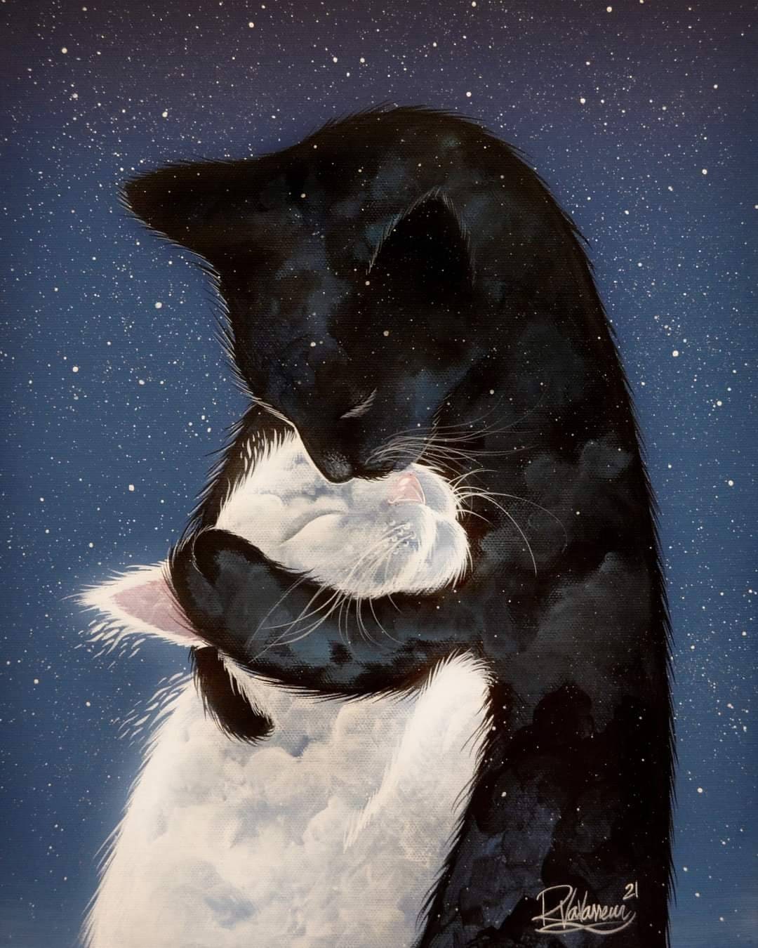 Customer photo of a cat artwork by Raphaël Vavasseur