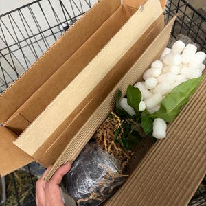 Lisa added a photo of their purchase