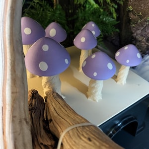 Emily added a photo of their purchase