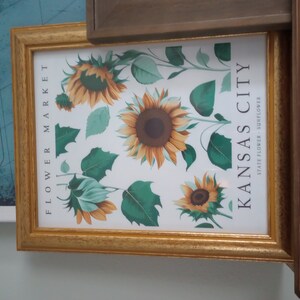 Nebraska State Flower Nebraska Flower Market Art Print - Etsy