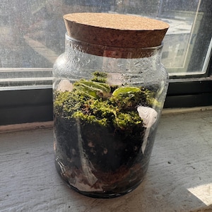 CJ added a photo of their purchase