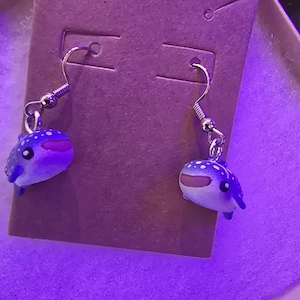 Robert ha aggiunto una foto del proprio acquisto