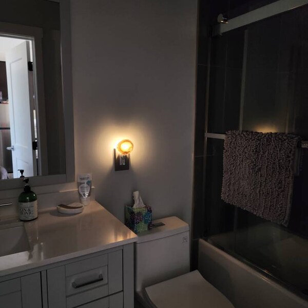 Brazilian Agate Night Light, Geode Crystal Lamp, Natural Stone Accent ...