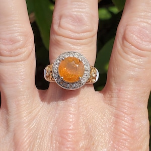 Staci added a photo of their purchase