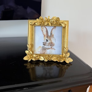 Amy ha añadido una foto de su compra