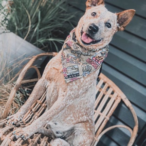 Lacey added a photo of their purchase