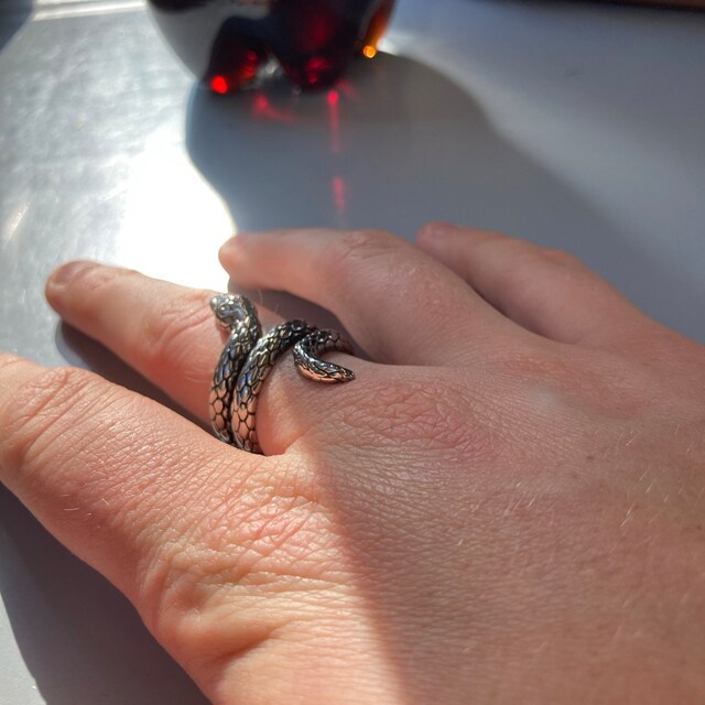 Silver Snake Ring, Mens Ring Silver, Strong Stainless Steel Snake Serpent Rings for Men Boho Rings, Unisex Ring Silver by Twistedpendant - Etsy Silver Snake Ring, Mens Ring Silver, Strong Stainless Steel Snake Serpent Rings for Men Boho Rings, Unisex Ring Silver by Twistedpendant - Etsy