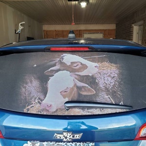Nicole added a photo of their purchase