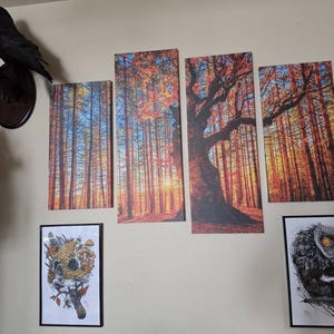 Jennifer added a photo of their purchase