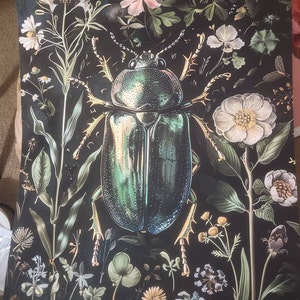 Amanda added a photo of their purchase