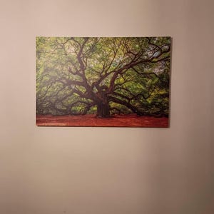 Kim added a photo of their purchase