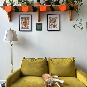 Kat added a photo of their purchase