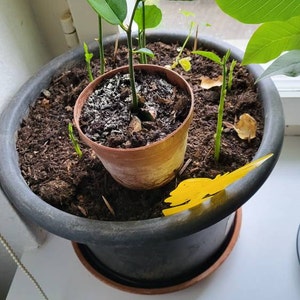 Magdalena added a photo of their purchase