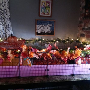 Sandi added a photo of their purchase