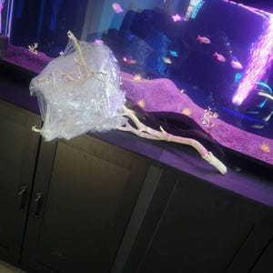 Barry added a photo of their purchase