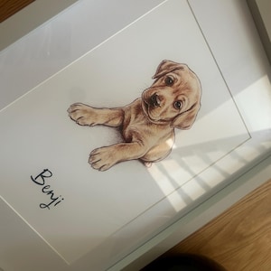 Chloe ha añadido una foto de su compra