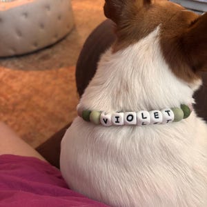 Jami added a photo of their purchase