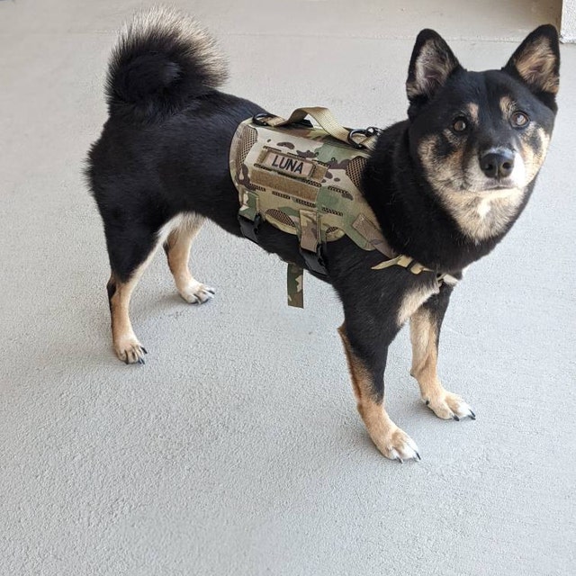 Kiloniner M4 Tactical MOLLE Dog & Cat Harness | Hiking and Kiloniner M4 Tactical MOLLE Dog & Cat Harness | Hiking and