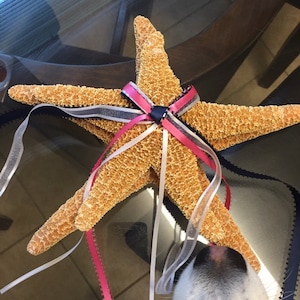 Bianca added a photo of their purchase