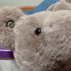 Fiona added a photo of their purchase