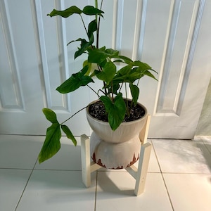 JN added a photo of their purchase