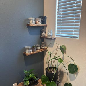 Carlos added a photo of their purchase
