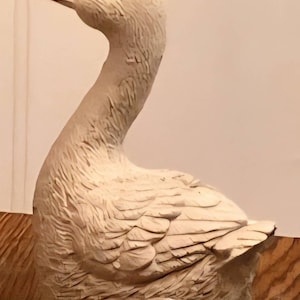 Chad added a photo of their purchase